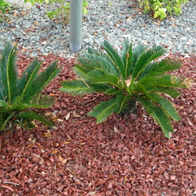Leader Rubber Mulch Saddle Brown
